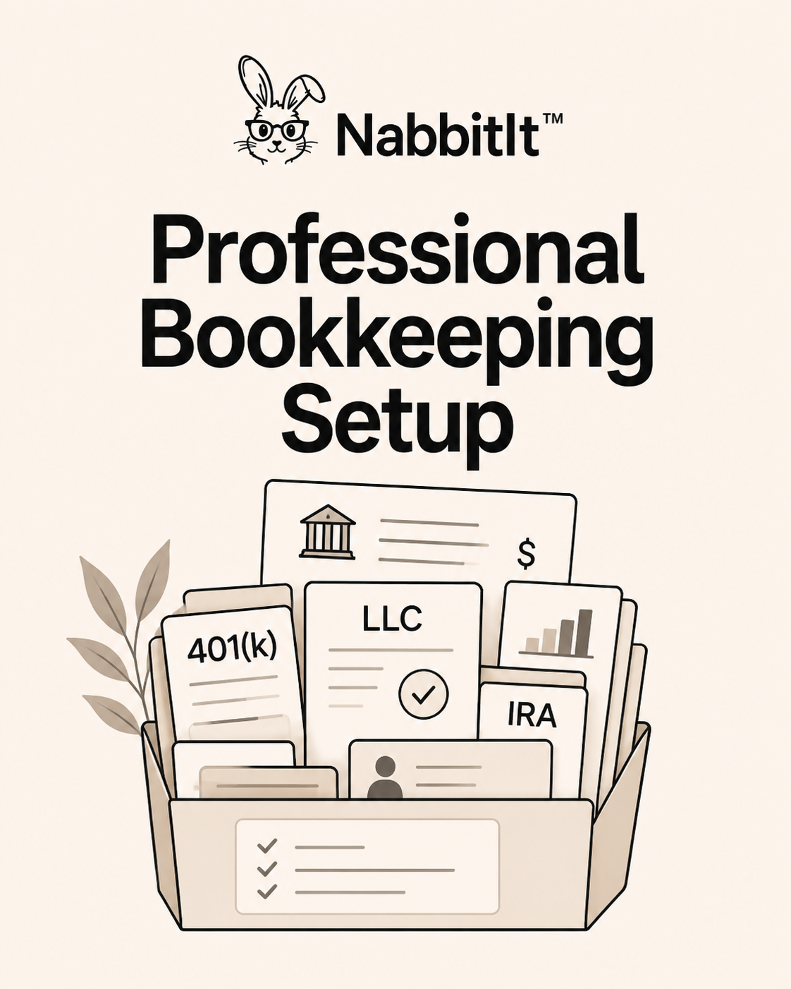 Professional Bookkeeping Setup